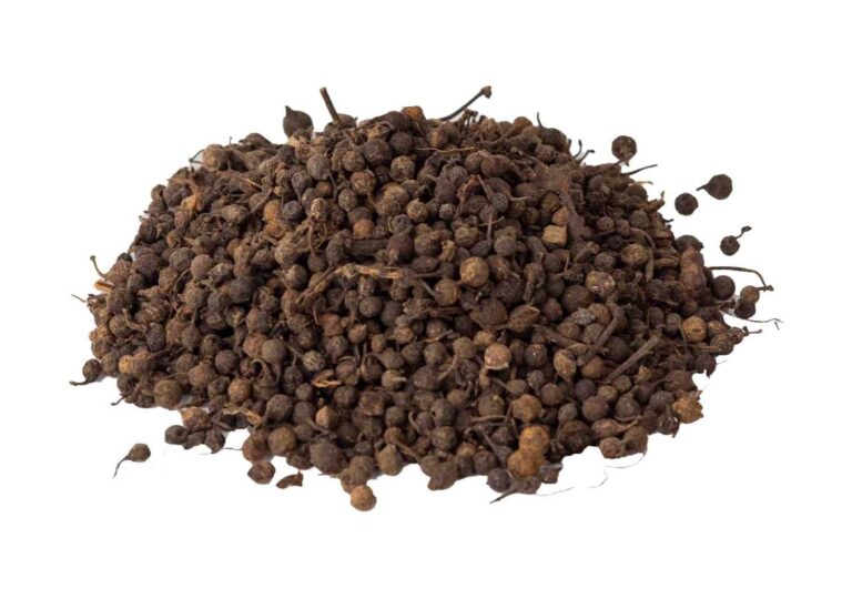 WhatsApp-Image-2026-01-17-at-6.13.00-PM