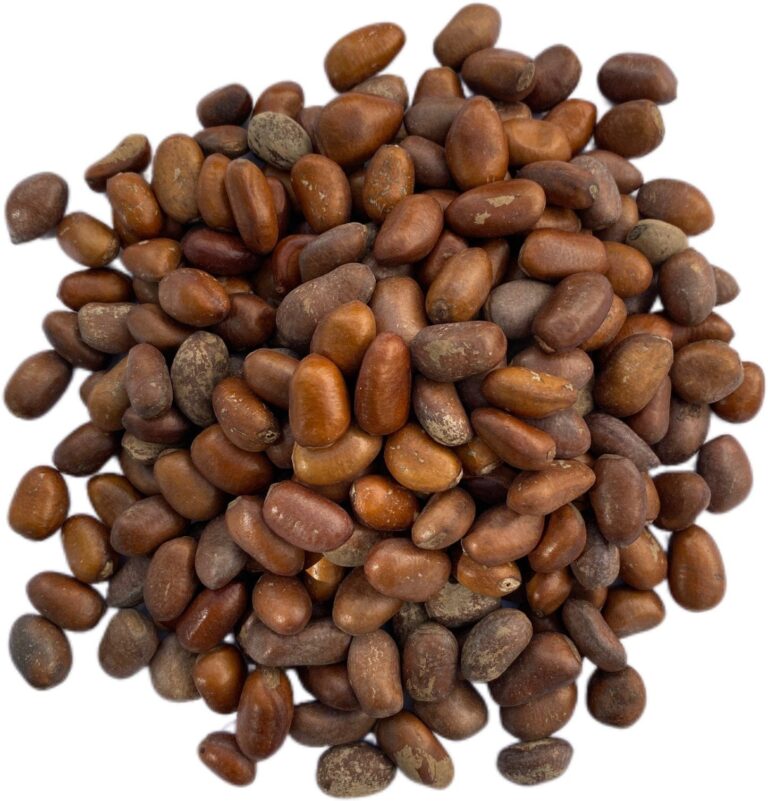 WhatsApp-Image-2026-01-18-at-2.46.03-PM